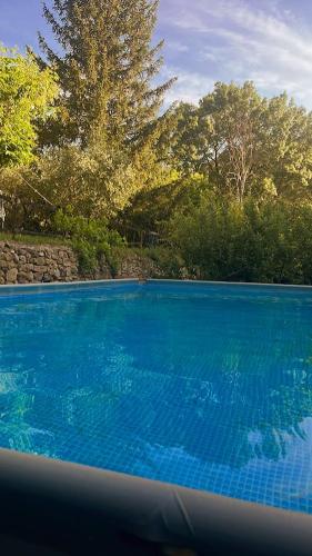 une grande piscine bleue avec des arbres en arrière-plan dans l'établissement Bastide Du Maoupas Gîtes, à Belgentier
