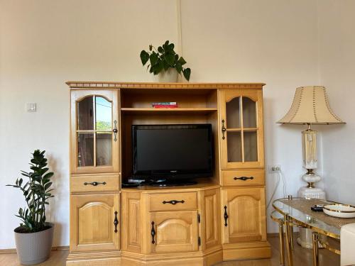 un centro de entretenimiento de madera con TV en la sala de estar en Apartmani Andric, en Trebinje