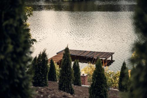 a house in front of a lake with trees at Madison Lake Villa in Baloteşti