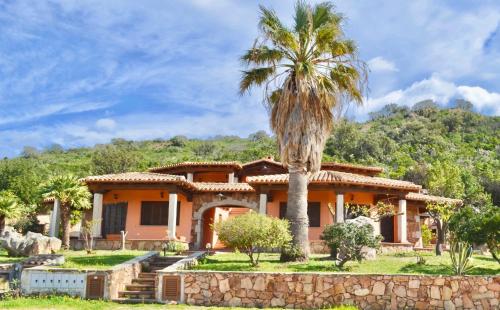 una palma di fronte a una casa di ISS Travel, Panoramic Coda Cavallo Cottages - 10 km from San Teodoro a San Teodoro