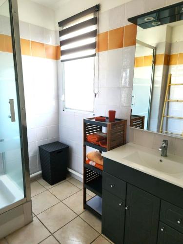 a bathroom with a sink and a mirror at Appartement Coco Antilles ,vue mer, terrasse couverte 25m2,plage à pied in Sainte-Luce