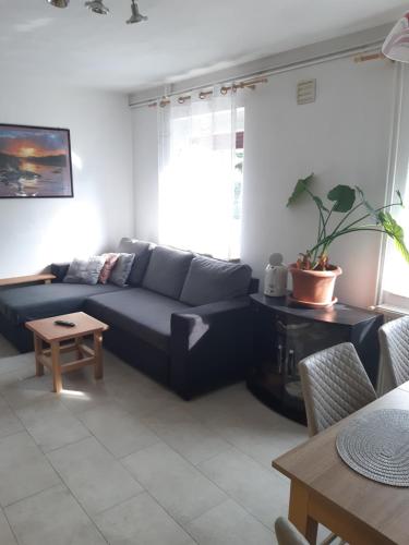 a living room with a blue couch and a table at Trnovo ob Soci Kuhala in Kobarid