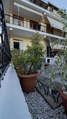 a building with potted plants in front of it at Studios Vaso - Center in Parga