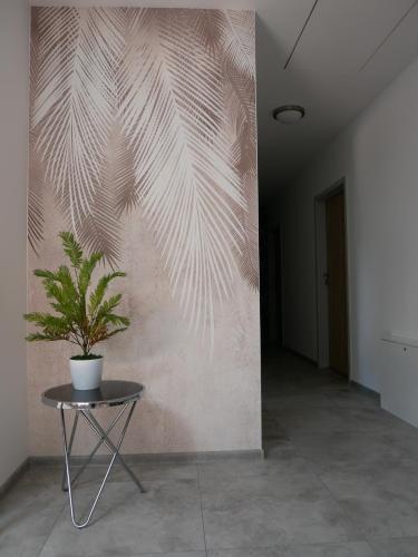 a potted plant sitting on a table next to a wall at Alda in Pyrzowice