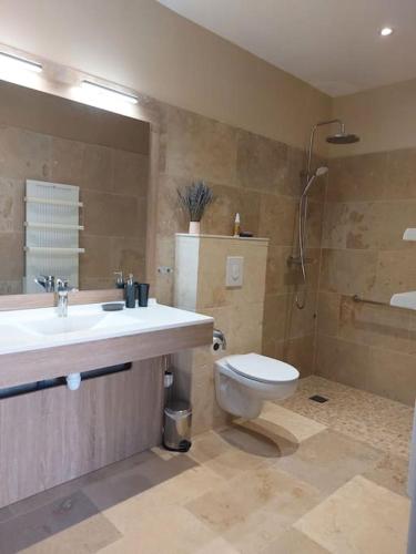 une salle de bain avec toilettes, lavabo et douche dans l'établissement Location indépendante au cœur des Alpilles pour 2 personnes avec Jacuzzi, à Aureille