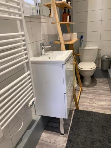 une salle de bain avec un lavabo blanc et des toilettes dans l'établissement Studio Cosy en cœur de ville, à Pau