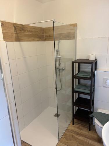 a shower with a glass door in a bathroom at Roja House in Soča