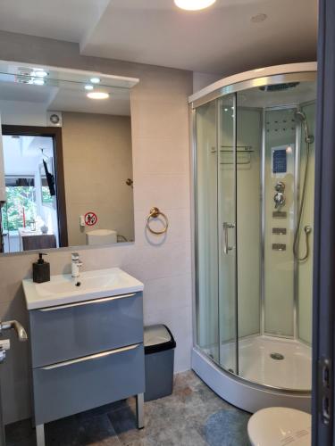 een badkamer met een wastafel en een douche bij CASA ARYAN in Sînpetru