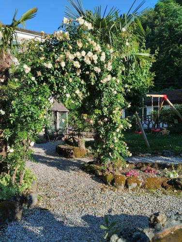 an arch covered in flowers in a garden at Il Glicine di Villa Vittoria nel verde a pochi minuti di auto dalle spiagge in Borgonovo