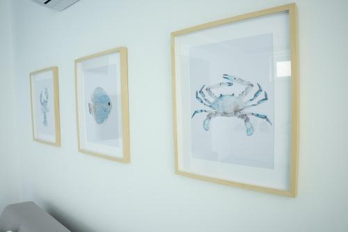 three framed pictures of crabs on a white wall at Aria - Suite in Capri in Capri