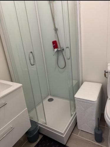 Koupelna v ubytování Appt le perfecto 50m2 terrasse privée