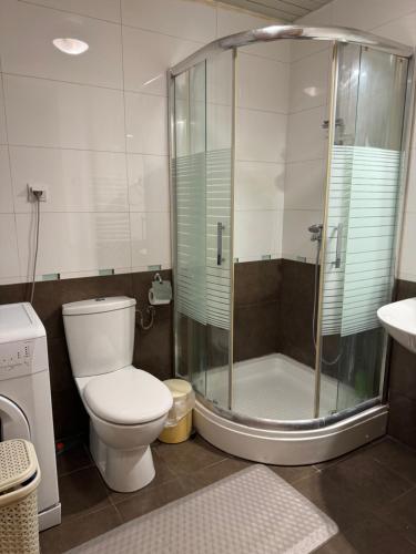 a bathroom with a shower and a toilet and a sink at Prime City Apartments in Skopje