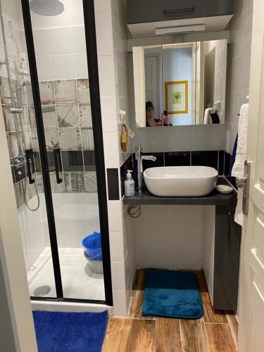 une salle de bain avec un lavabo et une douche dans l'établissement appartement sur le vieux port, à Bastia