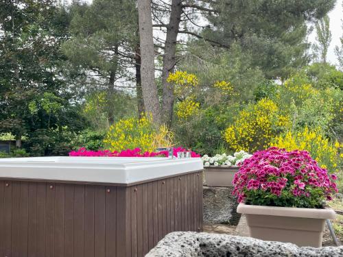 Zahrada ubytování Villa con Jacuzzi sull Etna