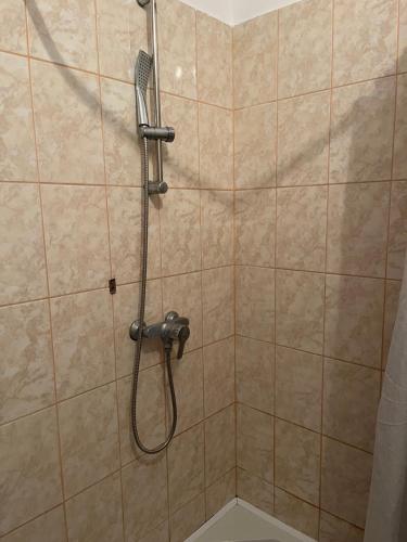 a shower with a hose in a bathroom at Fenyves Szálló in Balatonfenyves
