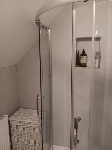 eine Dusche mit Glastür im Bad in der Unterkunft Duplex/2 Bedrooms on Kildare/Carlow/Laois Border in Carlow