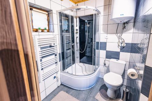 ein Bad mit einer Dusche und einem WC in der Unterkunft Domek na Leśnej in Łapsze Niżne