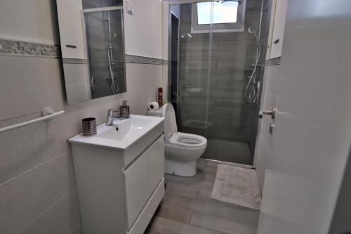 a bathroom with a toilet and a sink and a shower at Vila Castro in Estreito da Calheta