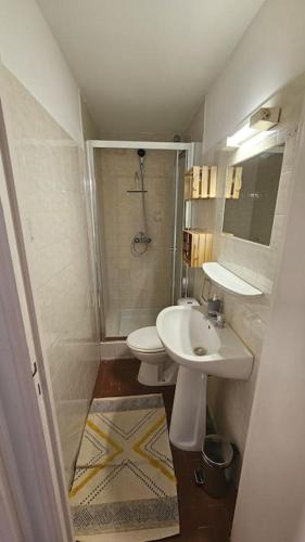 une petite salle de bain avec un lavabo et des toilettes dans l'établissement Appartement Le Muy, au Muy