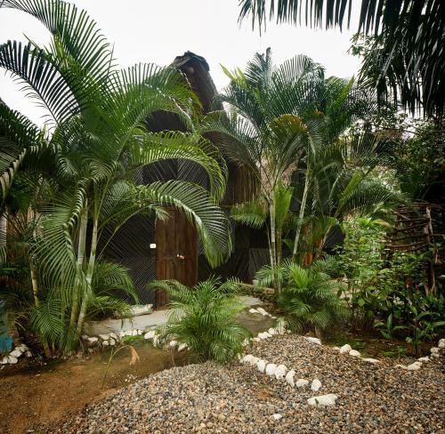 a garden with two palm trees and gravel at Bungalows Casa Rio Palomino in Palomino