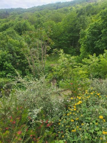 a view from the top of a hill with flowers at Chambres d'hôtes La Storya in Meyras