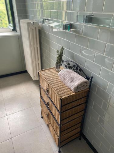 a bathroom with a sink and a table with a plant on it at La Piudana Como Lake in Ponna Superiore