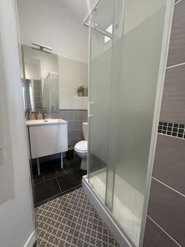 une salle de bain avec une douche, des toilettes et un lavabo dans l'établissement Le forum n2 Arles Centre, à Arles