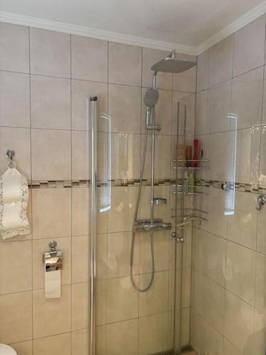 ein Badezimmer mit Dusche mit Glastür in der Unterkunft Olaheim in Olaheimen