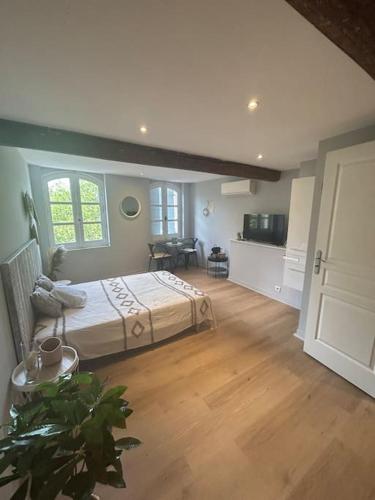 une grande chambre avec un lit et une cuisine dans l'établissement Le Forum n3 Arles Centre, à Arles