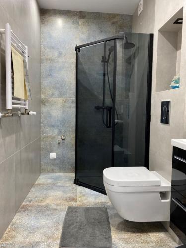 W łazience znajduje się toaleta i przeszklony prysznic. w obiekcie Natura Resort "Bałtycki Sen" w Jastrzębiej Górze