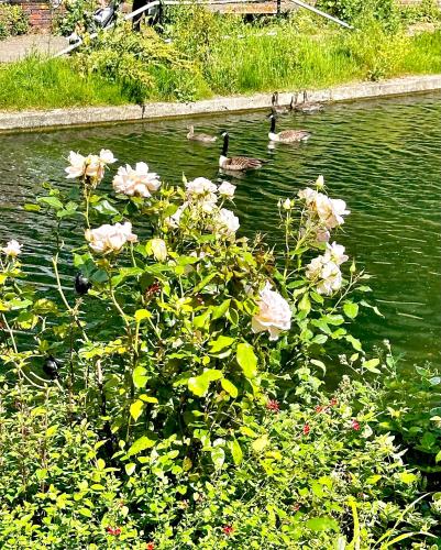 Amazing Location - City of London- 2 Bedroom Stunning Canal View House With Private Garden,Parking & Balcony photo 68