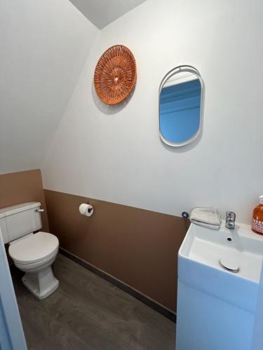 een badkamer met een toilet en een spiegel bij Le 19 Rue **,Maison de charme proche du Puy du Fou in Mouchamps