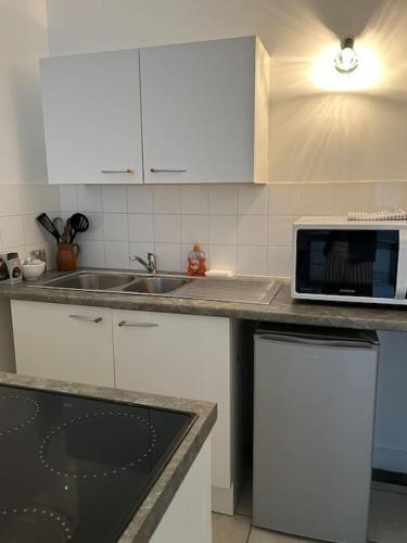 une cuisine avec un évier et un micro-ondes sur un comptoir dans l'établissement Studio 8 - Bord de Loire, à Orléans