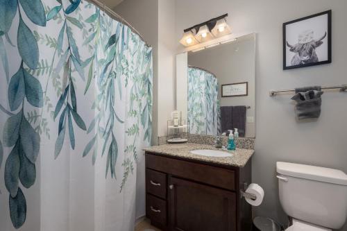 a bathroom with a toilet and a sink and a mirror at HUGE New Apartment, Free Parking, Near Mayo! in Rochester