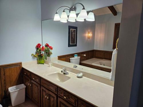 a bathroom with a sink and a large mirror at Boundary Waters Resort & Marina in Hiawassee
