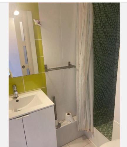 une salle de bain avec un lavabo et un rideau de douche dans l'établissement Studio le cap d agde piscine et tennis, au Cap d'Agde
