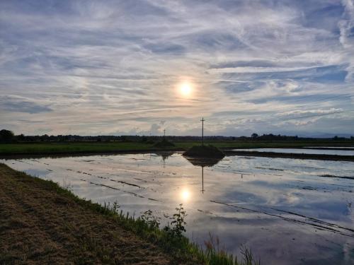 a field with the reflection of the moon in the water at Casa il Grappolo in Momo