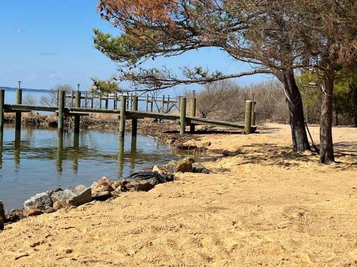 a wooden bridge over a body of water at Tiny House at Piney point in Piney Point
