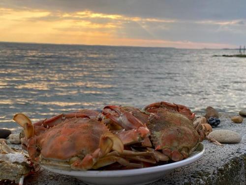 a crab on a plate next to the water at Tiny House at Piney point in Piney Point