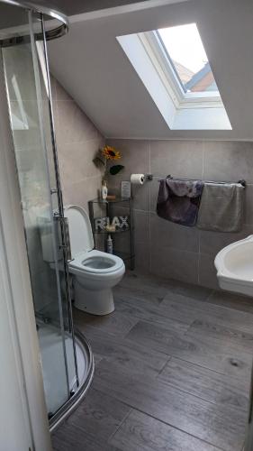 bagno con servizi igienici, lavandino e lucernario. di Lighthouse View a Tralee