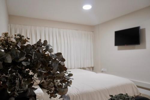 Un dormitorio con una planta junto a una cama. en Estudio Veintisiete, en Morón de la Frontera
