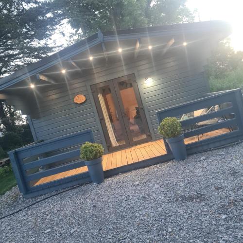 a blue tiny house with two potted plants on a deck at Pheobes Place in Athlone