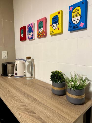 a counter with two potted plants on top of it at Trelew View in Trelew