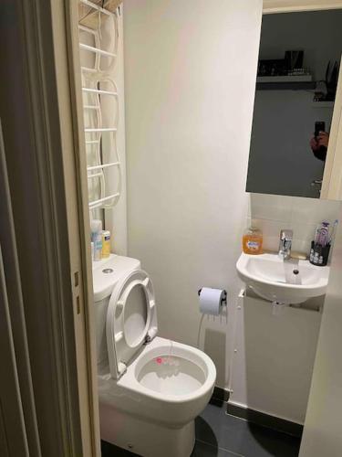 une petite salle de bain avec toilettes et lavabo dans l'établissement La perle rare du 7e, à Paris