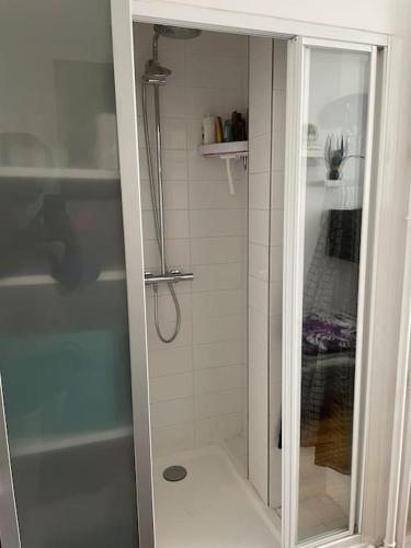 une douche avec une porte vitrée dans une salle de bain dans l'établissement La perle rare du 7e, à Paris