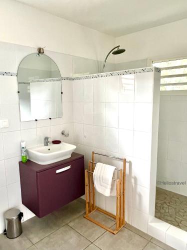 a bathroom with a sink and a mirror at Villa Tropical Quintet in Deshaies