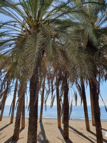 Bonito estudio carihuela con terraza, Wifi, playa a 150 metros