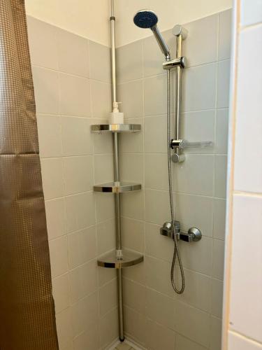 a shower with a shower head in a bathroom at Coco and sun Hibiscus Le Manganao in Belle-Allée