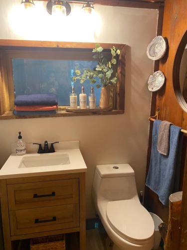 Bilik mandi di Magical Cabin Retreat in the Redwoods!!