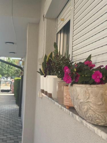 uma fila de vasos de plantas no peitoril de uma janela em Vila Bolonja em Struga